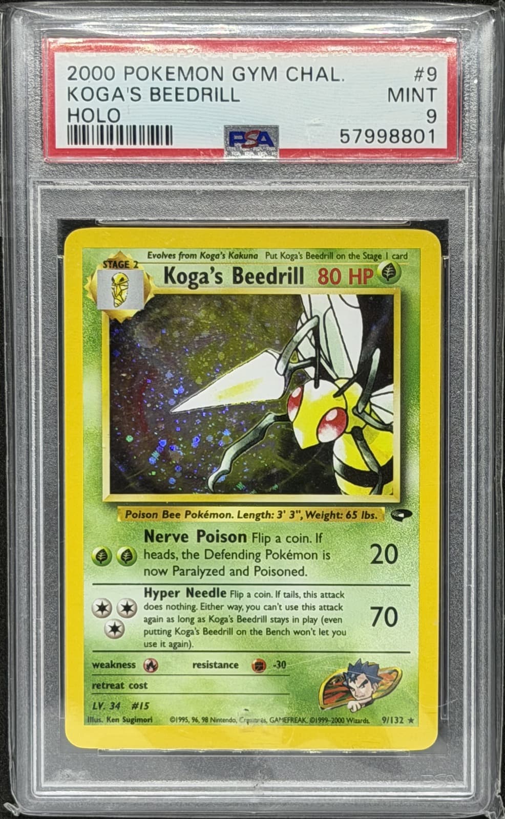 Koga's Beedrill