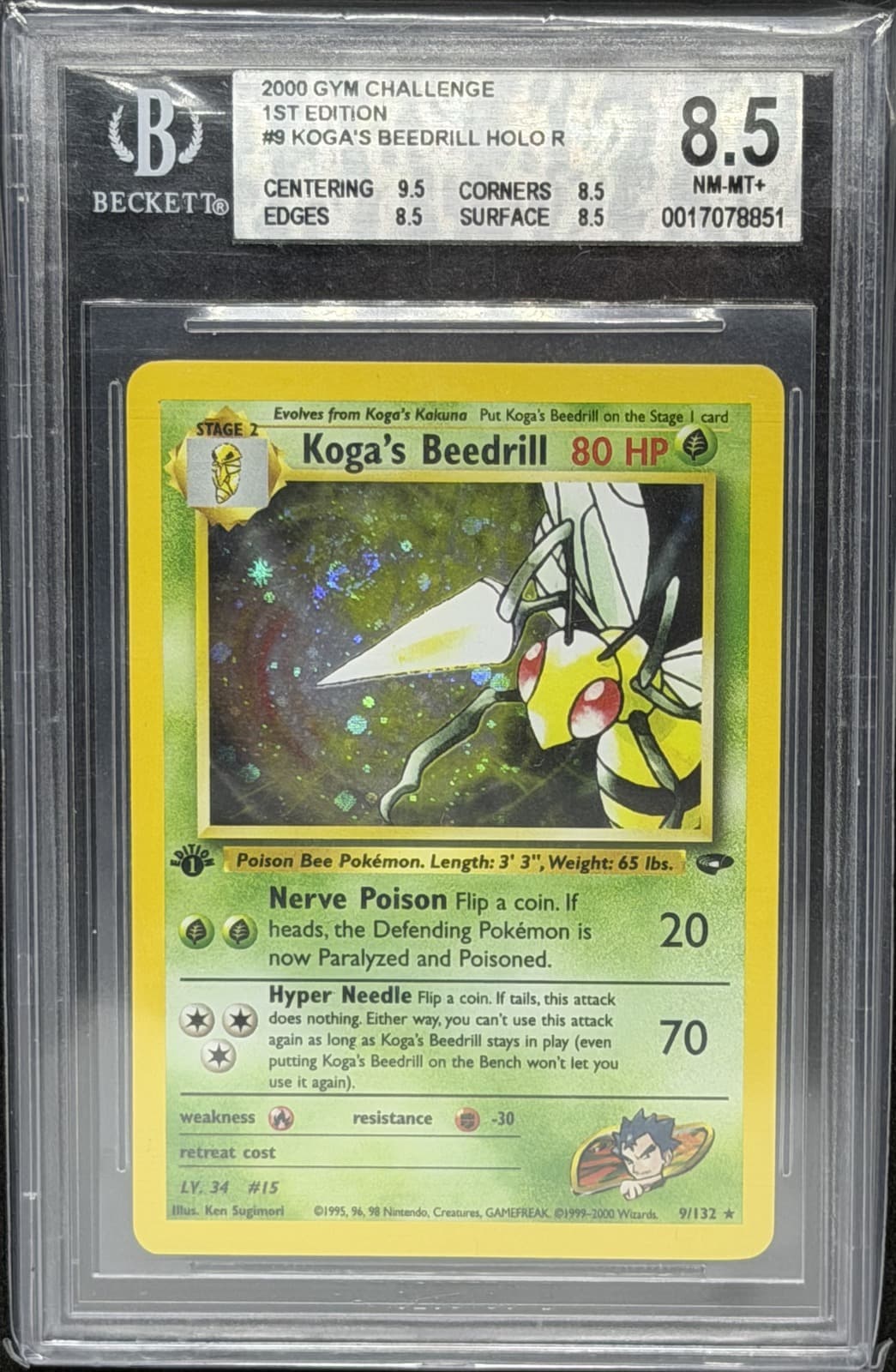 Koga's Beedrill