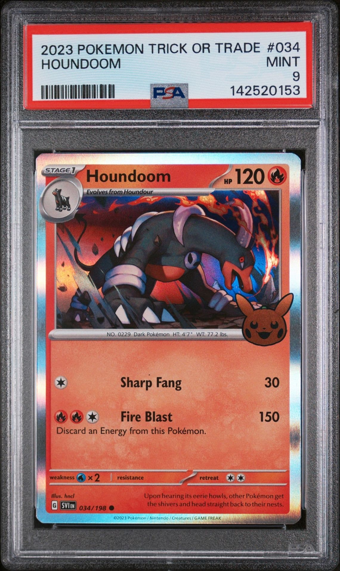 Houndoom