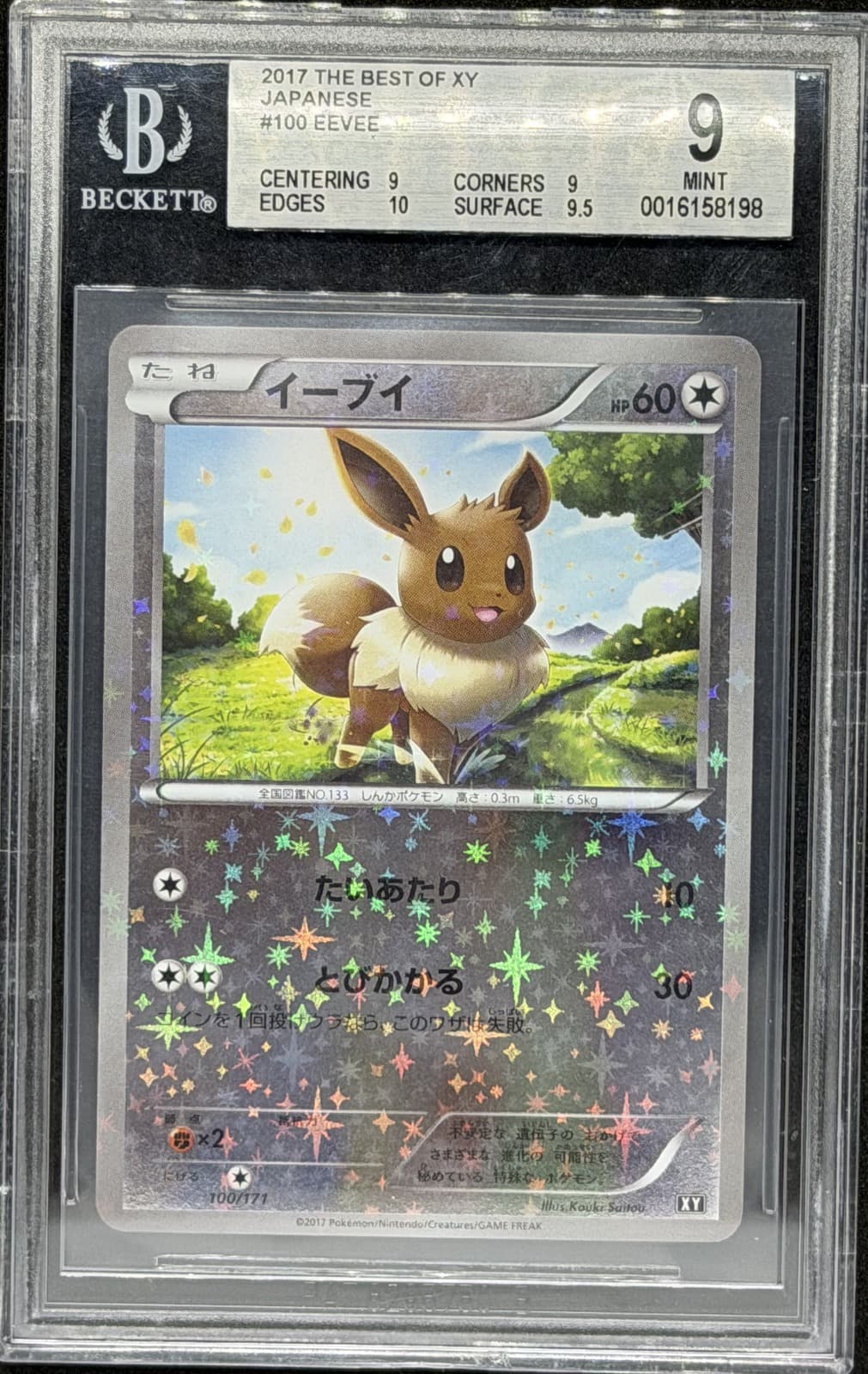 Eevee